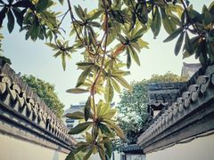 -丝绸小镇荻港古村