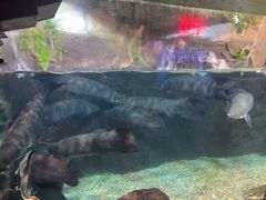 -太平洋海底世界