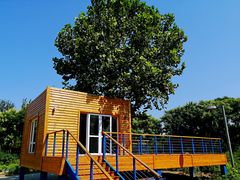 -大兴滨河森林公园