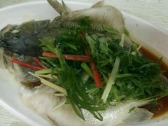 -發記潮汕大排档(宝翔路店)