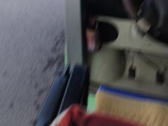 -青藏高原野生动物园