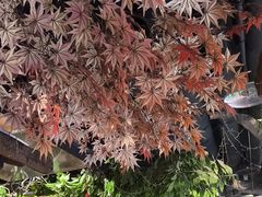 -城墙拐拐火锅(三峡广场黑金冠店)