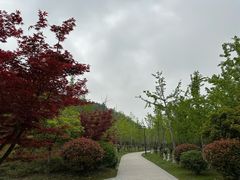 -狼山风景名胜区