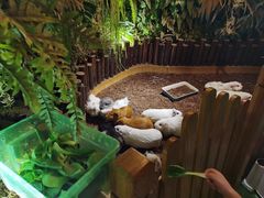 -藦茜花园宠物主题亲子互动体验馆(国顺东路店)