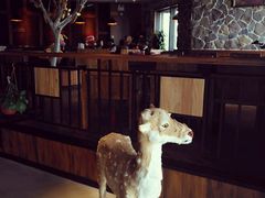 -糕潮(森兰店)