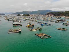 -海上驿站渔家菜馆