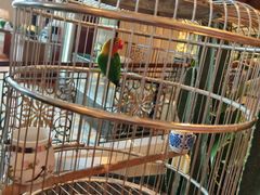 -怡咖啡·自助餐·西安香格里拉