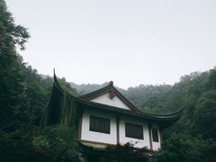 -十八棵（老龙井）御茶园(老龙井店)