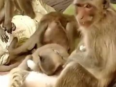-昆明动物园