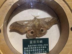 -陕西自然博物馆