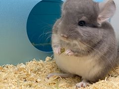 -龙猫仔乐园(惠福东路店)