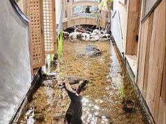 -邈墨茶馆(凤起路店)