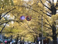 -四川大学(华西校区)