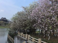 -海珠湖公园