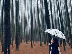 -山王坪喀斯特国家生态公园