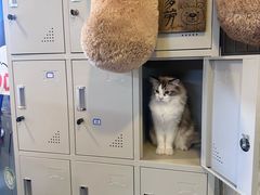 -平行世界·猫咖(首经贸店)
