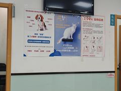 -中农大我爱我爱动物医院·核磁CT·猫病·24小时夜诊中心(石佛营店)