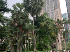 -吉隆坡国油双峰塔