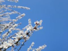 -长安大学(北校区)