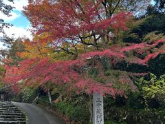 -三千院