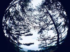 -光雾山旅游景区