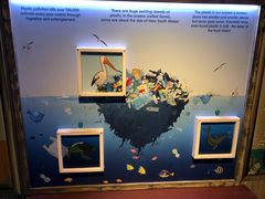 -悉尼海洋生物水族馆