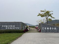 -艾米稻香小镇