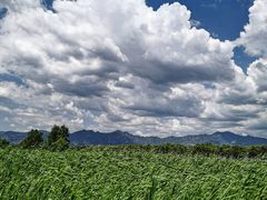 -野鸭湖国家湿地公园