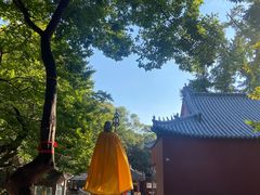 -青檀寺景区