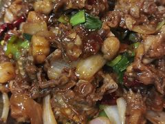 麻辣馋嘴蛙-南京点赞小馆