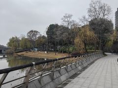 -南翔镇银翔湖公园