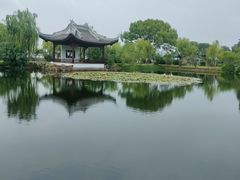 -无锡蠡湖国家湿地公园-蠡园