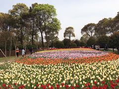 -上海鲜花港