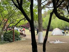 -上海方塔园