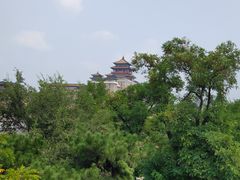 -莲花池公园
