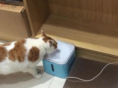 -惠康宠物医院(华能路店)