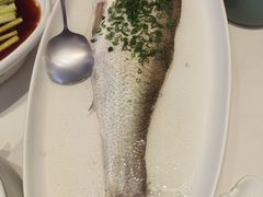 -阿甘小馆(陇海路店)