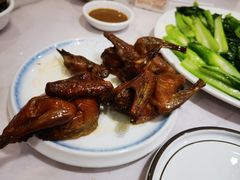 -鸽鸟轩(石岐店)