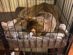 -H立方实景剧情密室(天河旗舰店)