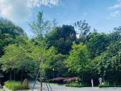 -广州市流溪河国家森林公园
