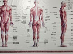 -龙脊堂龙氏推拿 整脊(陆家浜店)