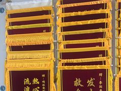 -瑞派中心宠物医院·CT·核磁·神经专科