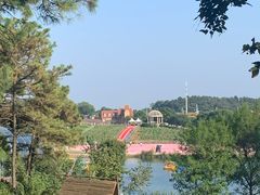 -大塘金香草谷