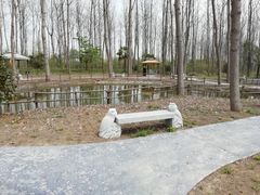 -合肥滨湖国家森林公园