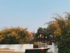 -白鹭湾湿地公园