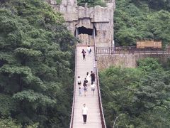 -武陵山森林公园