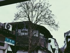 -吴山景区