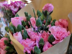 -茶马花街(城西银泰城店)