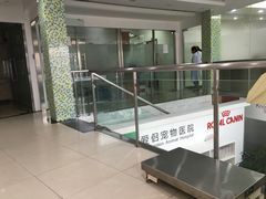 -爱侣宠医·鹦鹉专科·小型哺乳类·异宠专科(灵石路店)