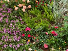 -人民公园(罗湖区)